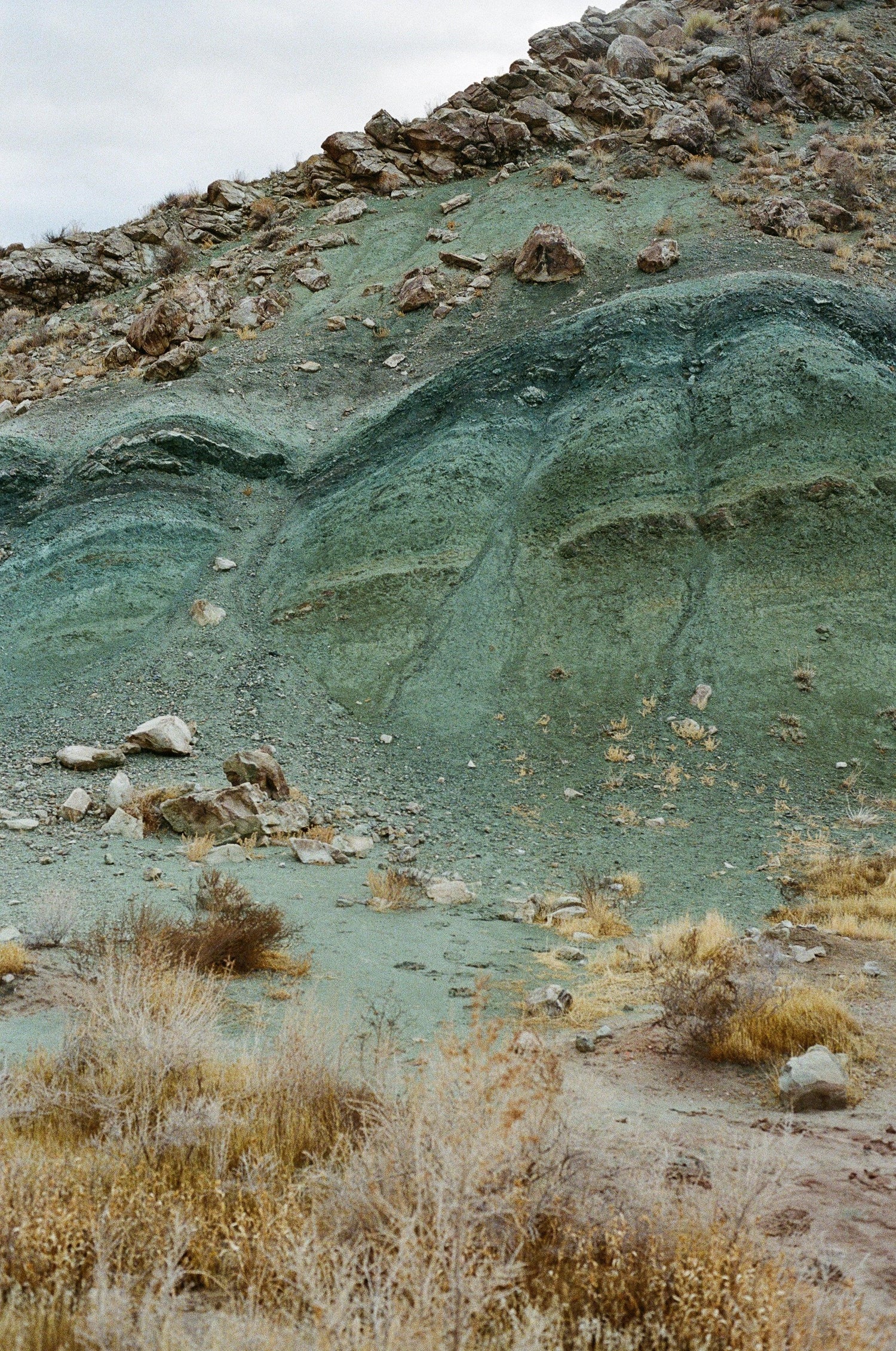 PIGMENT
